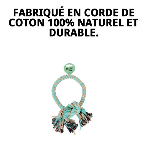 Mordeur Interactif Rond pour Chiens - Jouet en Corde