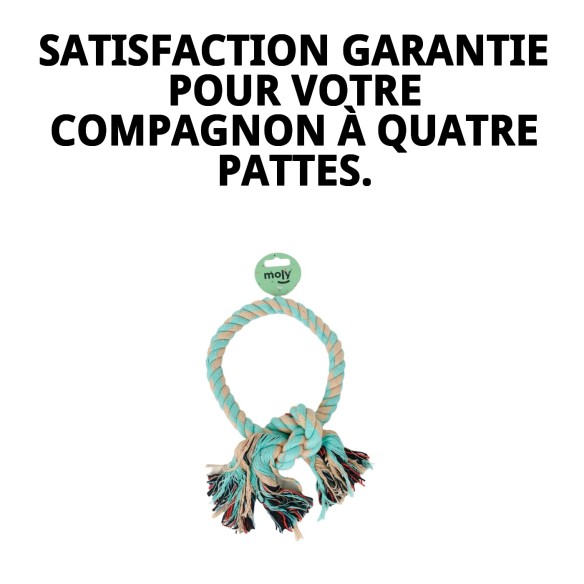 Mordeur Interactif Rond pour Chiens - Jouet en Corde