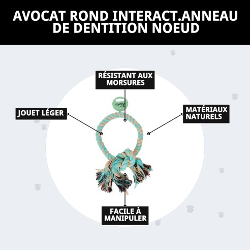 Mordeur Interactif Rond pour Chiens - Jouet en Corde