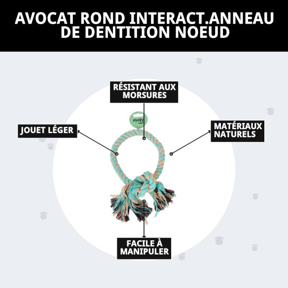 Mordeur Interactif Rond pour Chiens - Jouet en Corde