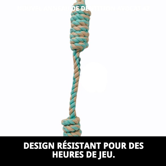 Mordeur Avocat 42 : Jouet Naturel pour Chiens Actifs