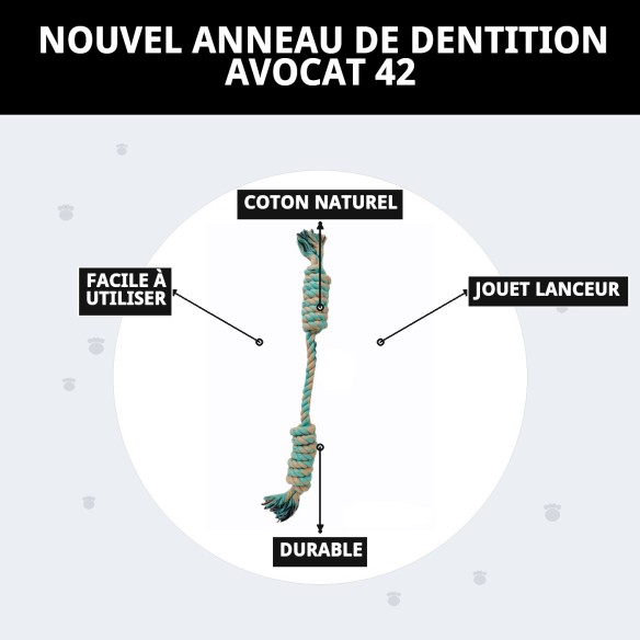 Mordeur Avocat 42 : Jouet Naturel pour Chiens Actifs