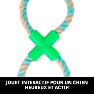 Mordeur Interactif Avocat : Amusement et Exercice pour Chiens 2