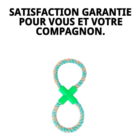 Mordeur Interactif Avocat : Amusement et Exercice pour Chiens