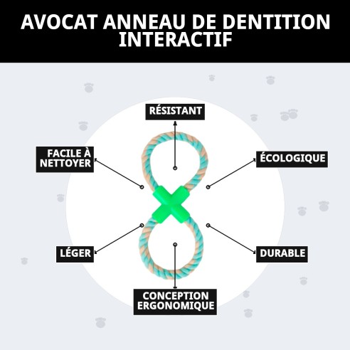 Mordeur Interactif Avocat : Amusement et Exercice pour Chiens