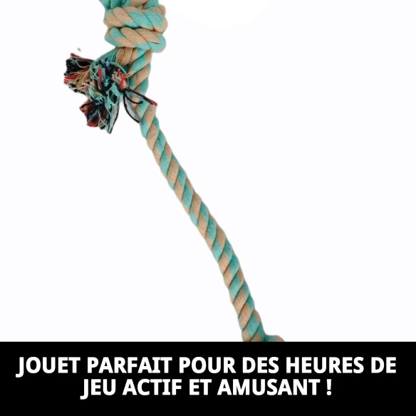 Lanceur Mordeur Avocat 50 : Amusement et Santé pour votre Chien