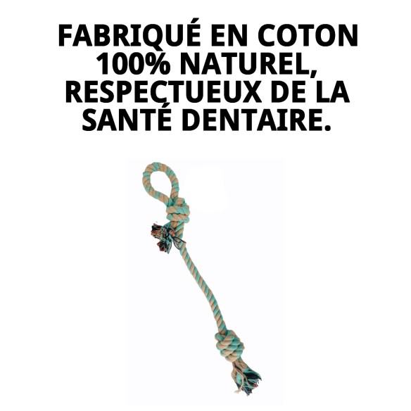 Lanceur Mordeur Avocat 50 : Amusement et Santé pour votre Chien