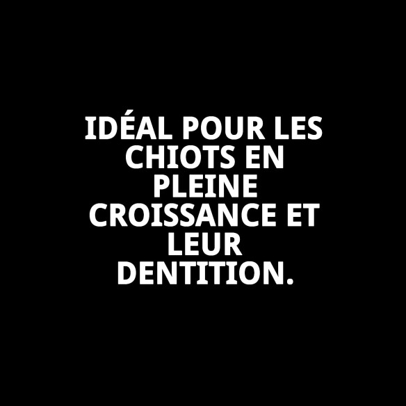 Mordeur Bonn Navy 25 cm : Jouet idéal pour chiots.