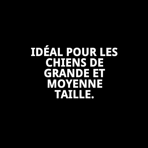 Mordeur interactif Navy 35 cm : Amusement et santé dentaire