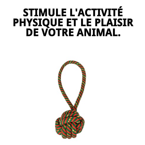 Jouet Lanceur de Balle Chia pour Chiens - 22 cm