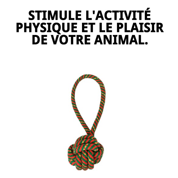 Jouet Lanceur de Balle Chia pour Chiens - 22 cm
