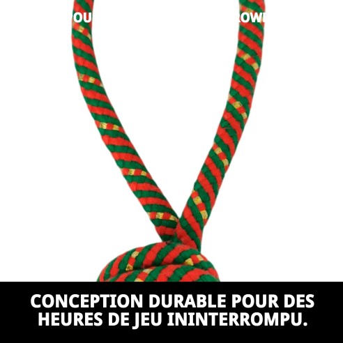 Jouet Lanceur de Balle Chia pour Chiens - 22 cm