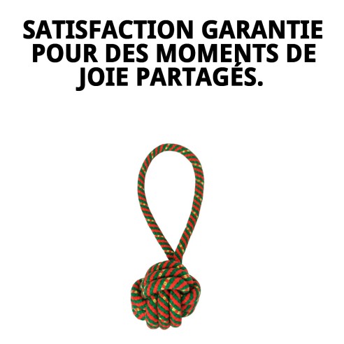 Jouet Lanceur de Balle Chia pour Chiens - 22 cm