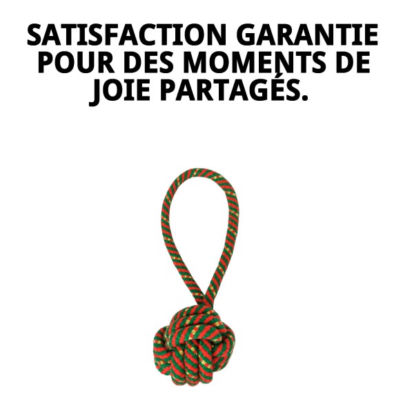 Jouet Lanceur de Balle Chia pour Chiens - 22 cm