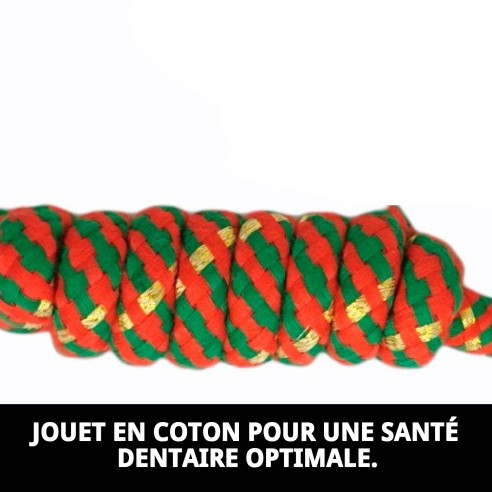 Mordeur 2 Nœuds Chía 15 cm : Amusement et santé pour votre chien