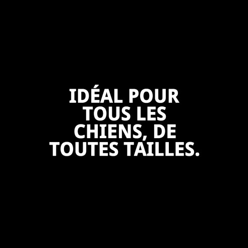 Mordeur 2 Nœuds Chía 15 cm : Amusement et santé pour votre chien