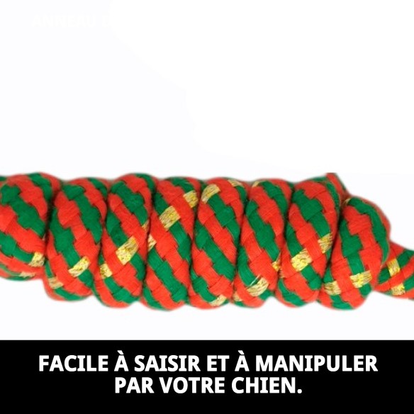 Mordeur 2 Nœuds Chía 15 cm : Amusement et santé pour votre chien
