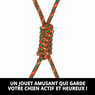Lanceur avec Balle TPR pour Chiens - Jouet Amusant et Écologique 2