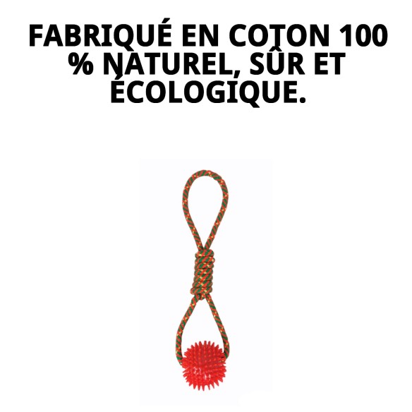 Lanceur avec Balle TPR pour Chiens - Jouet Amusant et Écologique