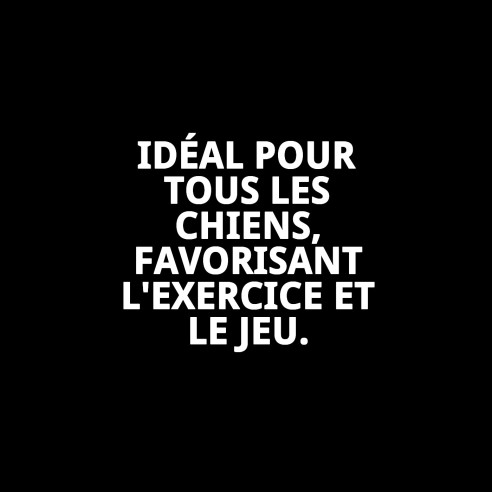 Lanceur avec Balle TPR pour Chiens - Jouet Amusant et Écologique