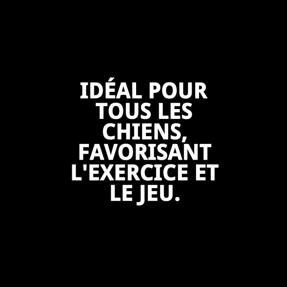 Lanceur avec Balle TPR pour Chiens - Jouet Amusant et Écologique