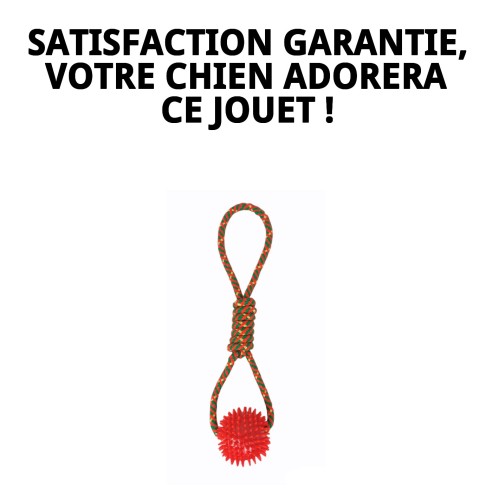 Lanceur avec Balle TPR pour Chiens - Jouet Amusant et Écologique