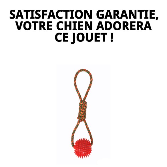 Lanceur avec Balle TPR pour Chiens - Jouet Amusant et Écologique