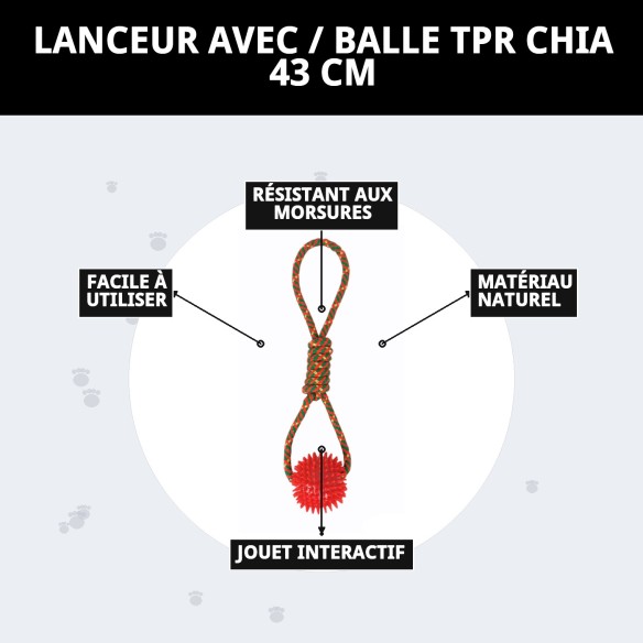 Lanceur avec Balle TPR pour Chiens - Jouet Amusant et Écologique