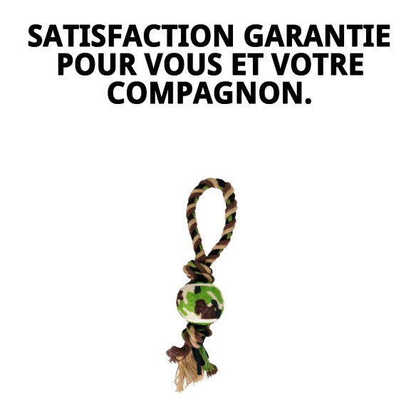 Lanceur Sisal Animalprint 33 : Amusement et Santé pour Chiens