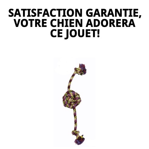 Jouet Quadruple Trendy en Coton 32 cm pour Chiens