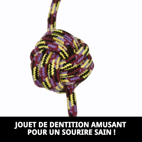 Mordeur Trendy 32 cm : Amusement et Santé pour votre Animal de Compagnie