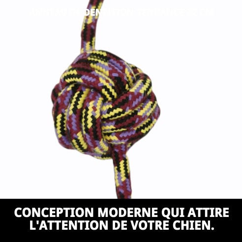 Mordeur Trendy 32 cm : Amusement et Santé pour votre Animal de Compagnie