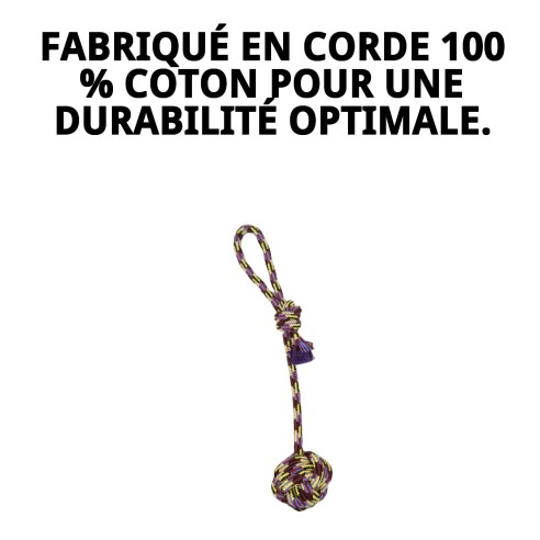 Lanceur de Balle Trendy : Amusement et exercice pour votre chien.