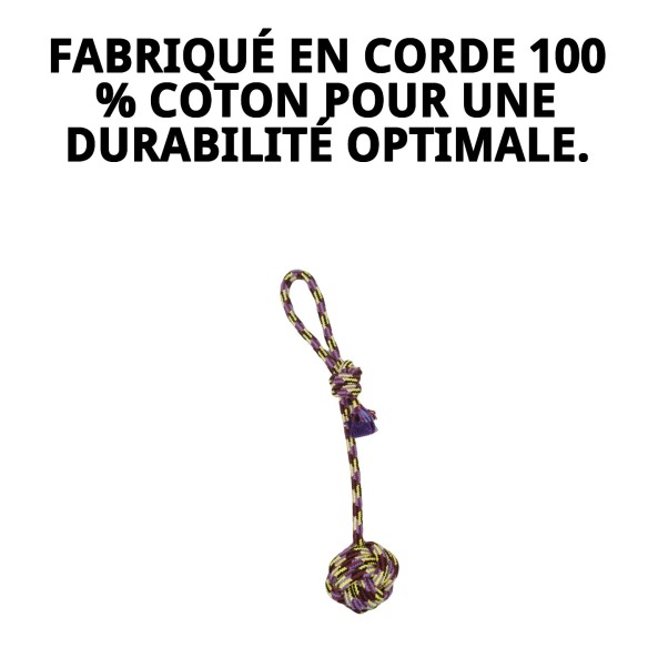 Lanceur de Balle Trendy : Amusement et exercice pour votre chien.