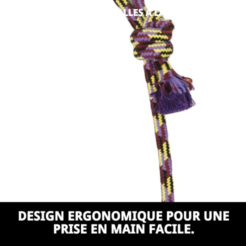 Lanceur de Balle Trendy : Amusement et exercice pour votre chien.