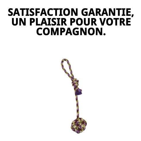 Lanceur de Balle Trendy : Amusement et exercice pour votre chien.