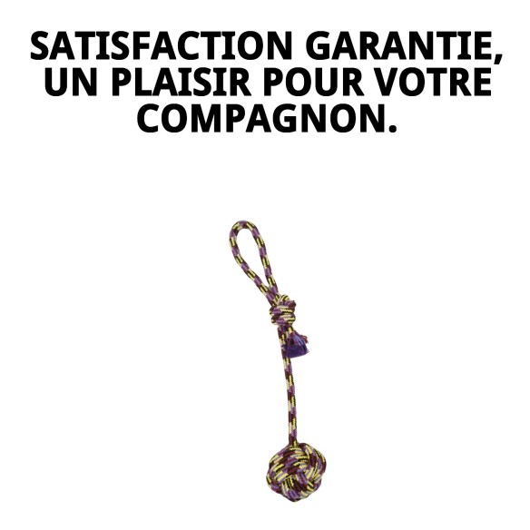 Lanceur de Balle Trendy : Amusement et exercice pour votre chien.