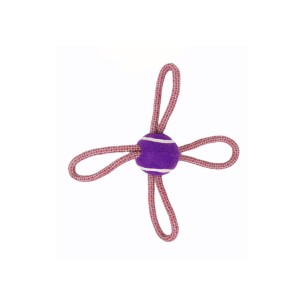 Mordeur Lasso Balle de Tennis 28 cm pour Chiens Actifs