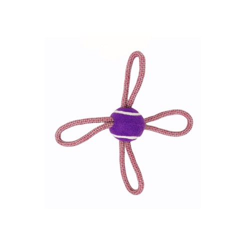 Mordeur Lasso Balle de Tennis 28 cm pour Chiens Actifs