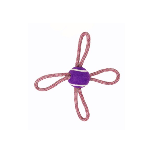 Mordeur Lasso Balle de Tennis 28 cm pour Chiens Actifs