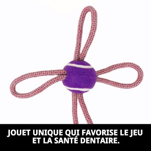 Mordeur Lasso Balle de Tennis 28 cm pour Chiens Actifs 2