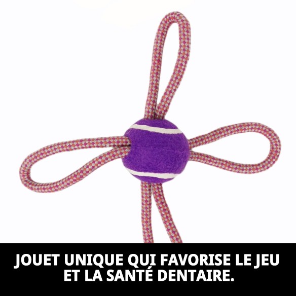 Mordeur Lasso Balle de Tennis 28 cm pour Chiens Actifs