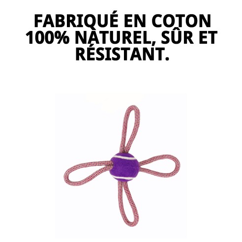 Mordeur Lasso Balle de Tennis 28 cm pour Chiens Actifs