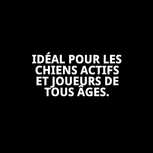 Mordeur Lasso Balle de Tennis 28 cm pour Chiens Actifs