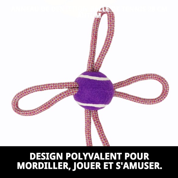 Mordeur Lasso Balle de Tennis 28 cm pour Chiens Actifs