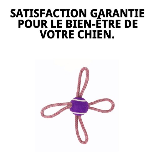 Mordeur Lasso Balle de Tennis 28 cm pour Chiens Actifs