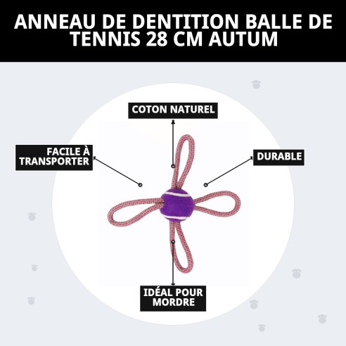 Mordeur Lasso Balle de Tennis 28 cm pour Chiens Actifs