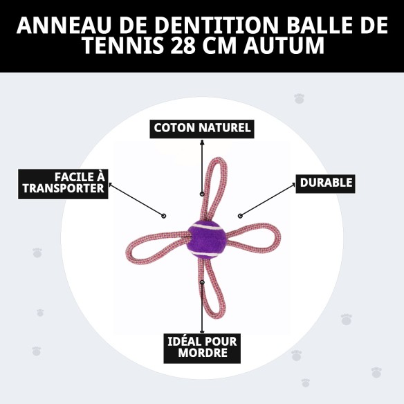 Mordeur Lasso Balle de Tennis 28 cm pour Chiens Actifs