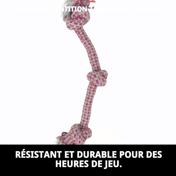 Mordeur 3 Nœuds 35 cm pour chiens : amusement et santé dentaire