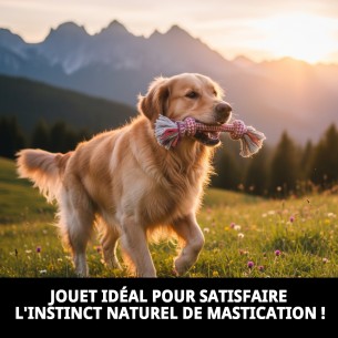 Mordeur 2 Nœuds 26 cm Autum pour chiens - Jouet en coton 2